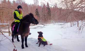 Jenny med häst och hund